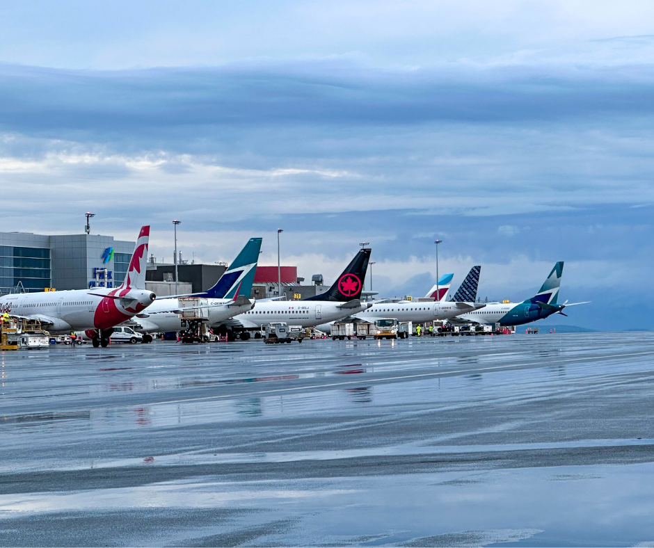 A line of airplanes parked at their gates